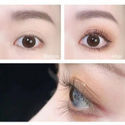 7 PCS Makeup Set Include Blush Concealer Eyebrow Pencil Eye Liner Mascara Lip Gloss Eyelash Curler Korean Women Cosmetics Kit - My Store
