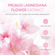 Sakura Skin Care Sets & Kits With Cleanser,Serum,Eye Cream,essence Cream Beauty Products For Women Gift Sets Routine Travel Kit - My Store